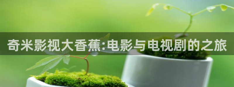 上海南瓜