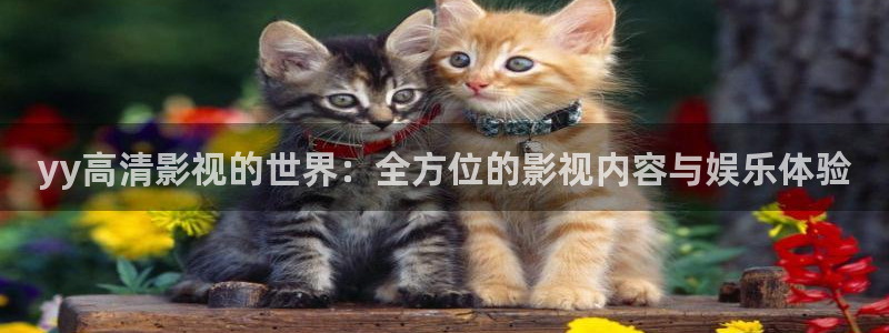 南瓜影电影：yy高清影视的世界：全方位的影视内容与娱乐体验