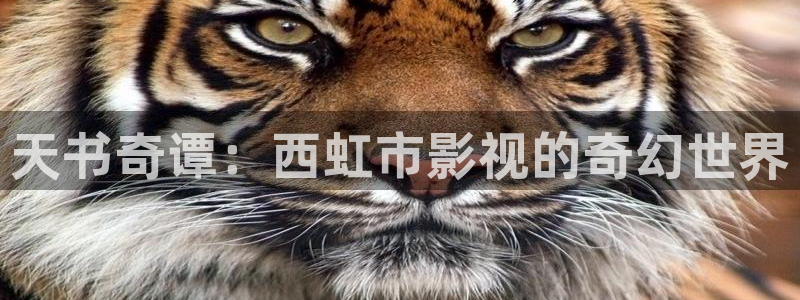 南瓜电影手机版