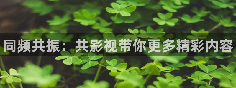 南瓜影视在线播放